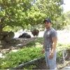 arasaypadron90